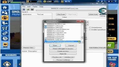 Wild Ones Kame Hack(Cheat Engine 6.1)