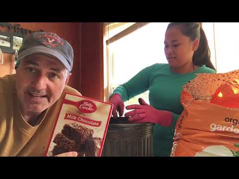 Husband And Wife Plant Chestnut Trees From Nuts Explaining Instant Cake Bake Method