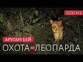 ОХОТА НА ЛЕОПАРДА | Аругам Бей и Национальный парк Кумана | Большая Яла | ВЛОГ #14