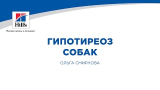 Вебинар на тему: "Гипотиреоз собак". Лектор - Ольга Смирнова.