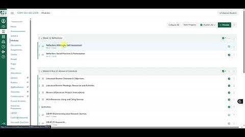 Com 101 Week 12 Screencast Video