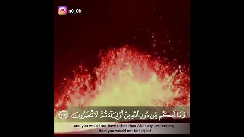 حالة قرأن قصيرة سورة هود | القارئ خالد الجليل