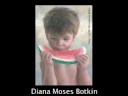 Sold Daily Paintings by Diana Moses Botkin