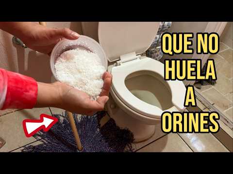 🚽 ¡ADIOS MALOS
