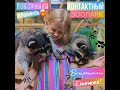 Встретили енотов//Покормили кроликов//Контактный зоопарк