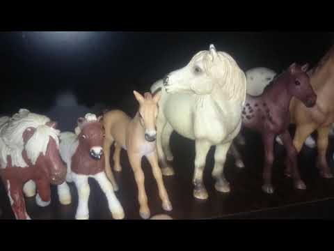 Video: Mini-caii Strălucesc Ca Animale De Terapie