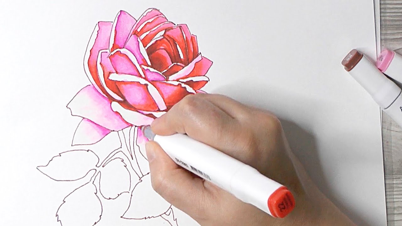 Sketching with markers, How to draw a rose, Tutorial - YouTube