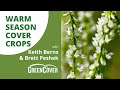 Warm season cover crop species with keith berns  brett peshek