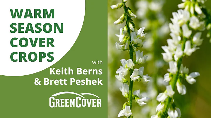 Warm Season Cover Crop Species with Keith Berns & ...