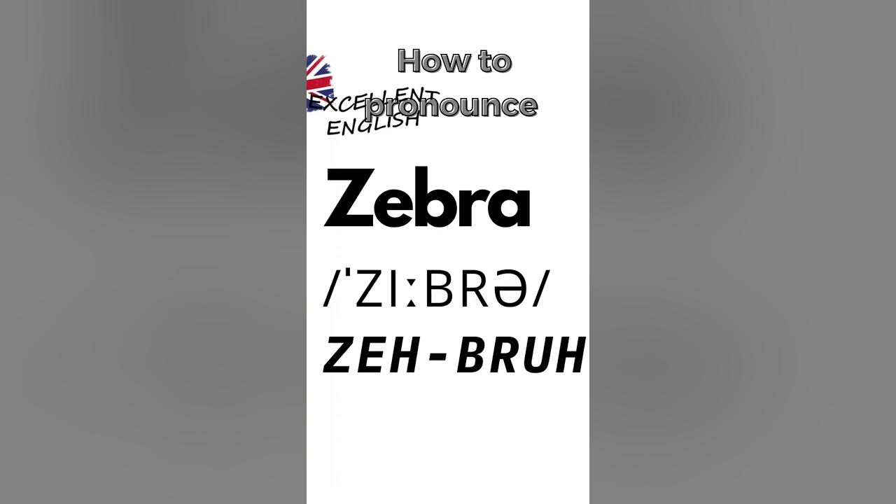 how-to-pronounce-zebra-in-british-english-animals-shorts-youtube
