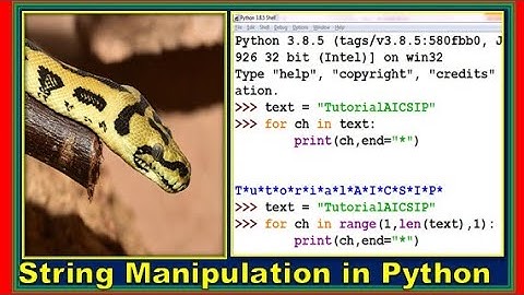 String manipulation in Python | Computer Science Class 11 | Informatics Practices Class 11