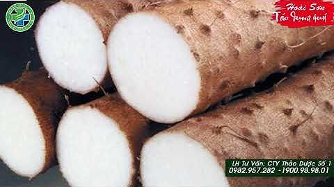 HOÀI SƠN ( Củ Mài ) Vị thuốc dân dã có nhiều công dụng chữa bệnh hay