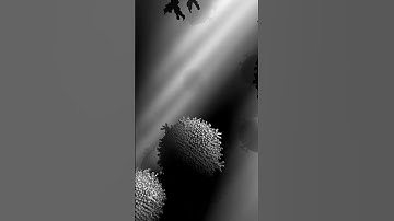 corona virus - shader developed by BigWIngs #shorts #shaders #fragment #glsl