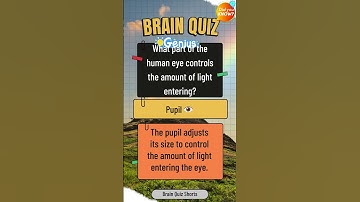 🎉Challenge your brain with 6 questions🏆 #brain quiz #shorts #quiz # quiz shorts_27