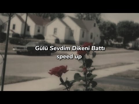 Gülü Sevdim Dikeni Battı - Melis Fis (speed up - lyrics)