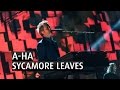 A-HA - SYCAMORE LEAVES - The 2015 Nobel Peace Prize Concert