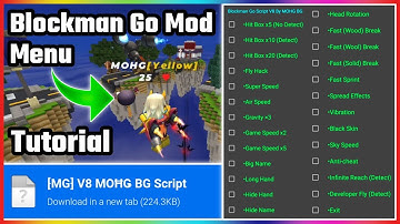 Blockman Go Mod Menu Tutorial | Bedwars Fly Hack