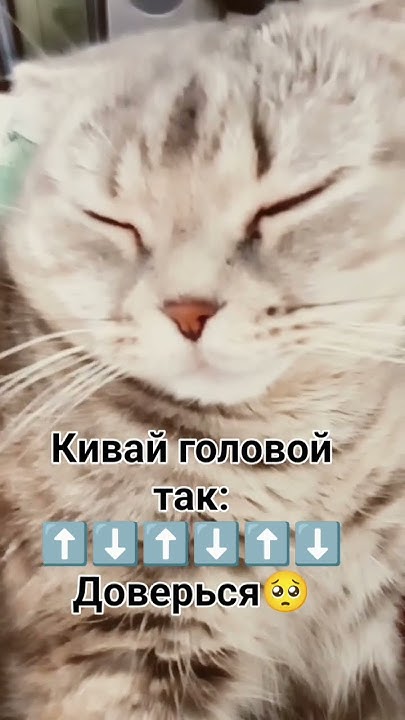 китя - YouTube