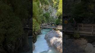 Visiting Vintgar Gorge in Slovenia #travel #nature #vintgar