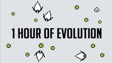 1-hour Evolution of an AI ecosystem v0.1