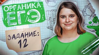 Задание №12 Углеводороды и кислородсодержащие соединения | ЕГЭ по химии 2024