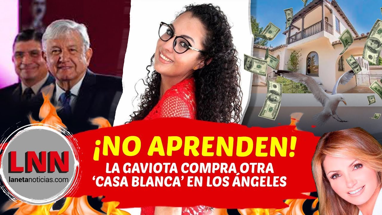 ¡NO APRENDEN! LA GAVIOTA COMPRA OTRA 'CASA BLANCA' EN LOS ÁNGELES YouTube ¡NO APRENDEN! LA GAVIOTA COMPRA OTRA 'CASA BLANCA' EN LOS ÁNGELES YouTube