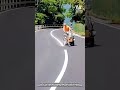 The Science of Safety: How a Worker Paints a Winding Road Line with Precision