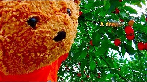 CHAPTER 59 - (30 X 15 sec) RESULTS - 11/01/2011