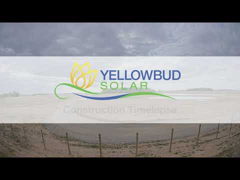 Watch the construction timelapse video to see Yellowbud come to life