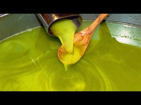 مراحل عصر زيت الزيتون الفلسطيني اطيب زيت في العالم