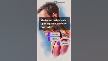 Fun & Challenging Daily Quiz | Test Your Knowledge | Quizomatic #brainteasers #dailyquiz #questions