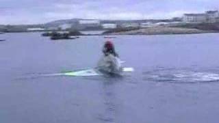 Dolphin Capsizes Laser