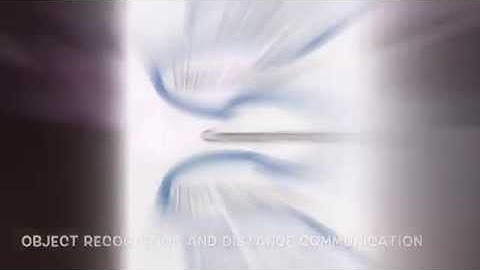 Object Recognition for the Visually Impaired