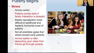 HD Chap 14 video PPT