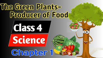Class 4 Science chapter 1 | The green plants- Producer of food| Plants-Making food| NCERT