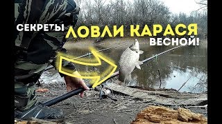 Лучшие советы ловли карася по весне! Лучшие советы ловли карася по весне!