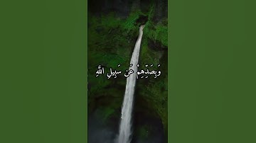 قران كريم سورة النساء