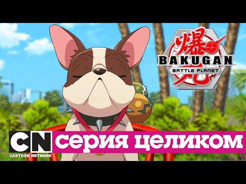 Бакуганы: Нерушимый альянс | Битва за популярность (серия целиком) | Cartoon Network