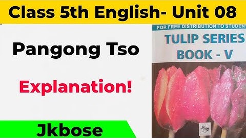 Pangong Tso Class 5th English Jkbose l Class 5th English Pangong Tso Explanation l