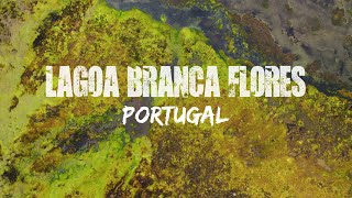 Capturing the Wonders of Azores: Nature Photography \u0026 Drone Videography | The Nature Project