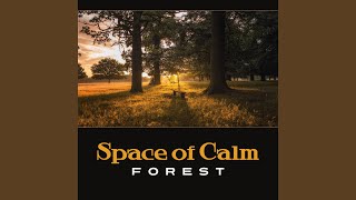 Space of calm: forest -