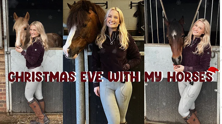 CHRISTMAS EVE WITH MY PONIES