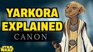 Yarkora Explained (Canon)