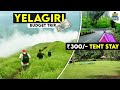 வெறும் ₹300 Tent stay in yelagiri hills | yelagiri | budget trip to yelagiri hill station  #yelagiri