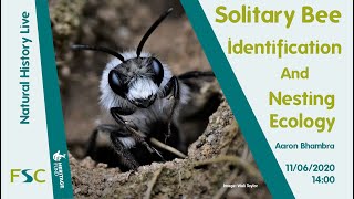 Solitary Bees: Identification and Nesting Ecology