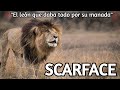 SCARFACE | NADA es MÁS VALIOSO que la FAMILIA