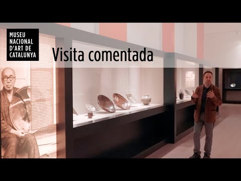 Vídeo: Com es desenvolupa el foc?