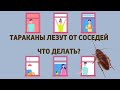 Как бороться с тараканами в квартире, если тараканы лезут ОТ СОСЕДЕЙ❓❓❓ Обработка💯