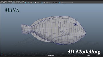 Modelling a Blue Tang fish in Maya | 3D Modelling | Part 1