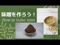 味噌を作ろう！